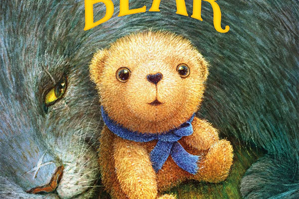salt-book-applegate-katherine-pocket-bear
