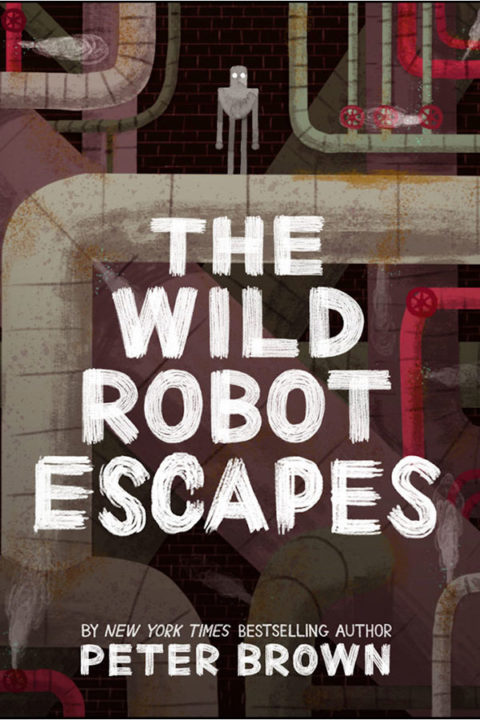 salt-book-brown-peter-the-wild-robot-escapes