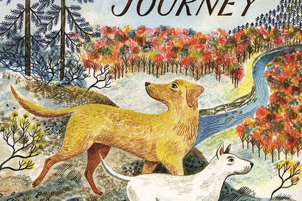 salt-book-burnford-sheila-the-incredible-journey