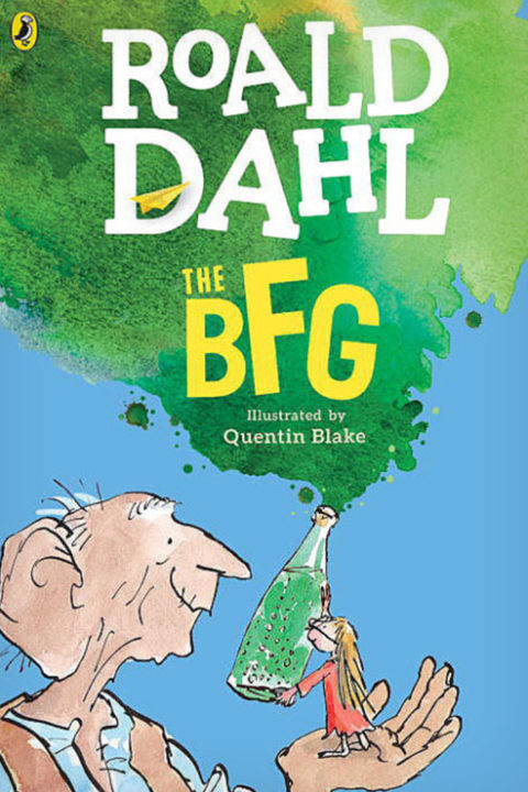 salt-book-dahl-roald-the-bfg