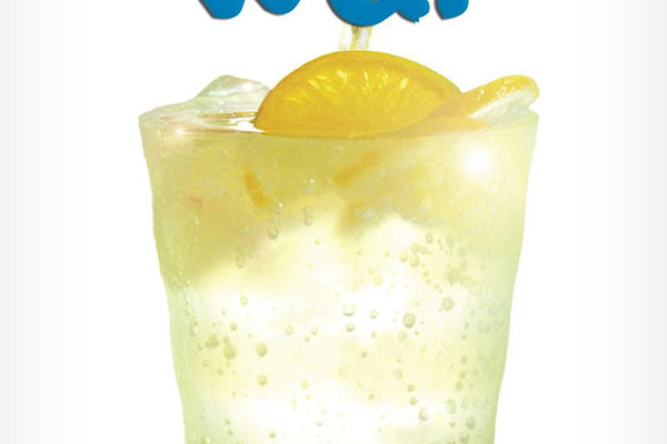 salt-book-davies-jacqueline-the-lemonade-war