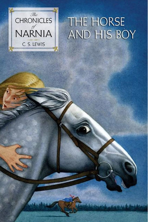 salt-book-lewis-cs-the-horse-and-his-boy