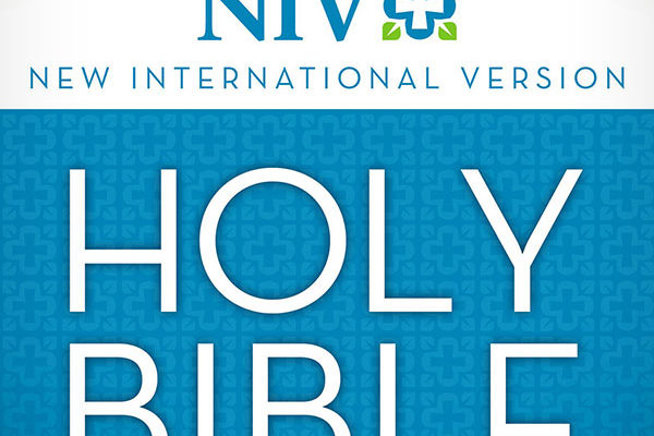 salt-book-niv-bible-book-of-acts