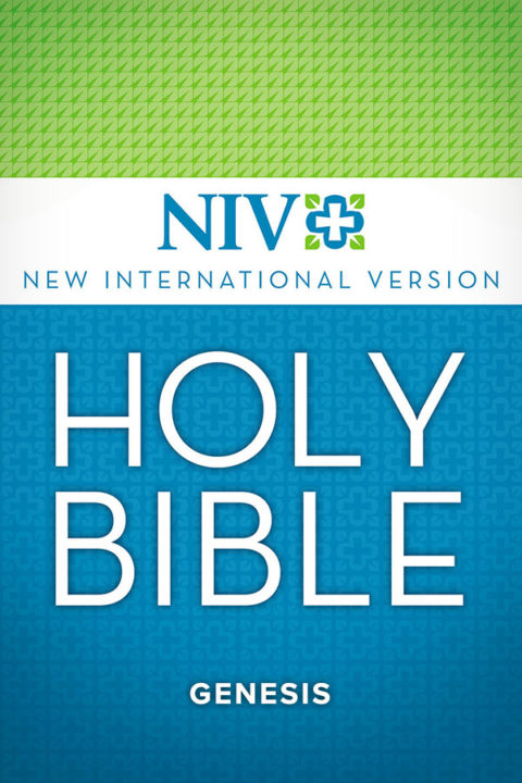 salt-book-niv-bible-book-of-genesis