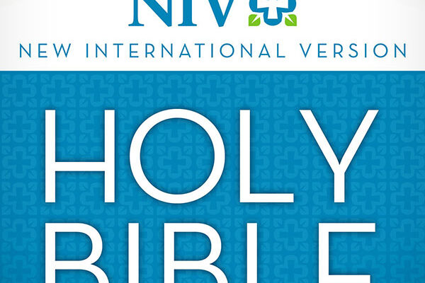 salt-book-niv-bible-book-of-ruth